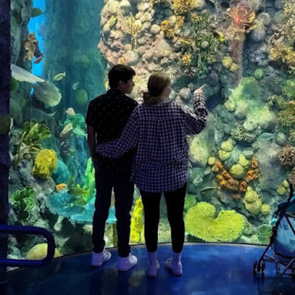 Meet your Posher, Makayla - Picture 1 of 1